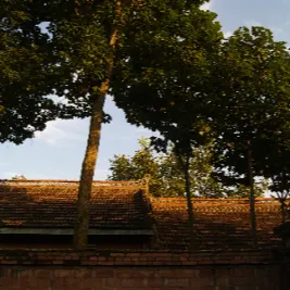 闲逛的布鲁姆先生的沙龍