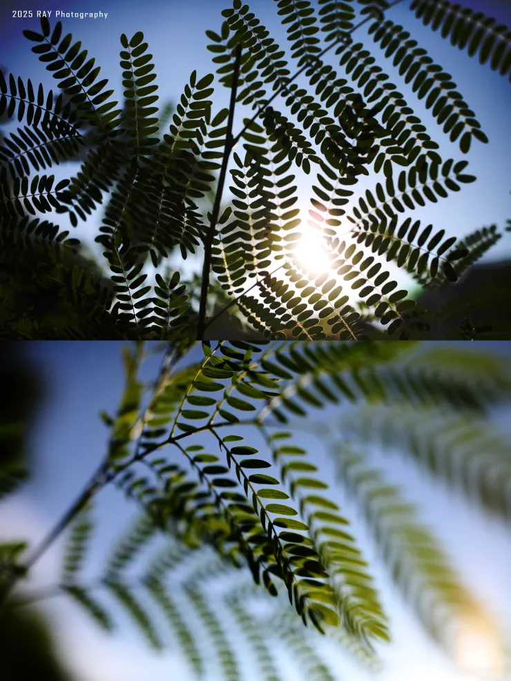 「這世界並不缺乏美，而是缺乏發現美的眼睛。」——現代雕塑之父羅丹