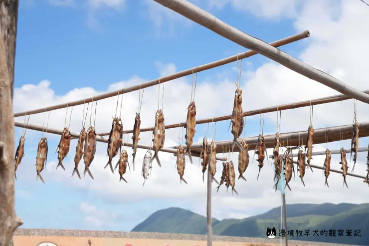 某戶人家的飛魚乾
