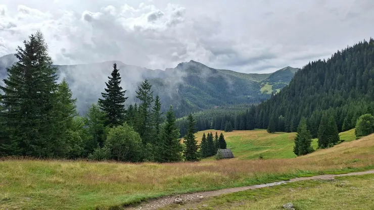 山屋 Hotel Górski PTTK Kalatówki 附近的景色，可以眺望纜車