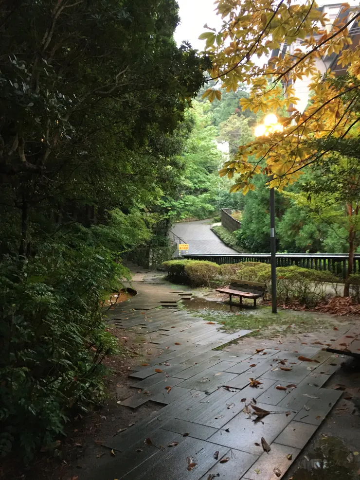 源頭公園景色很美