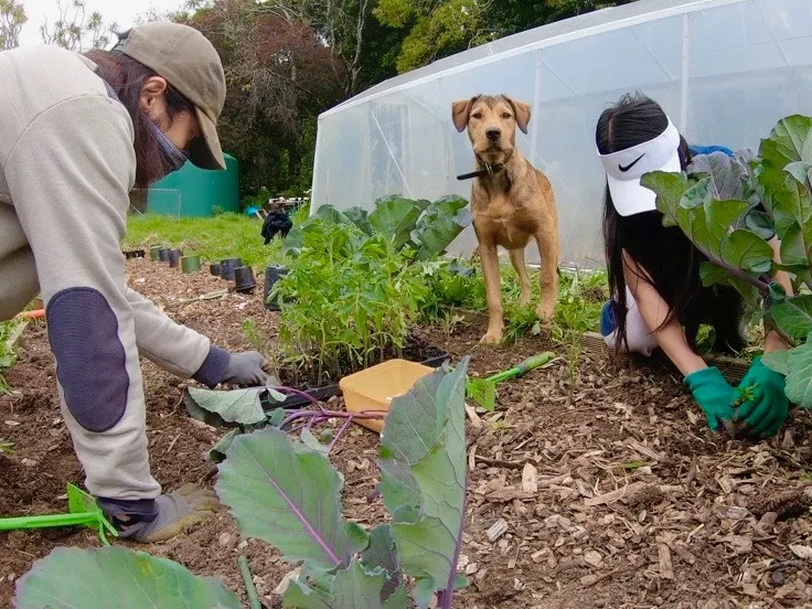 💚草食．男女🌿 香港素食日誌|vegetarianhk