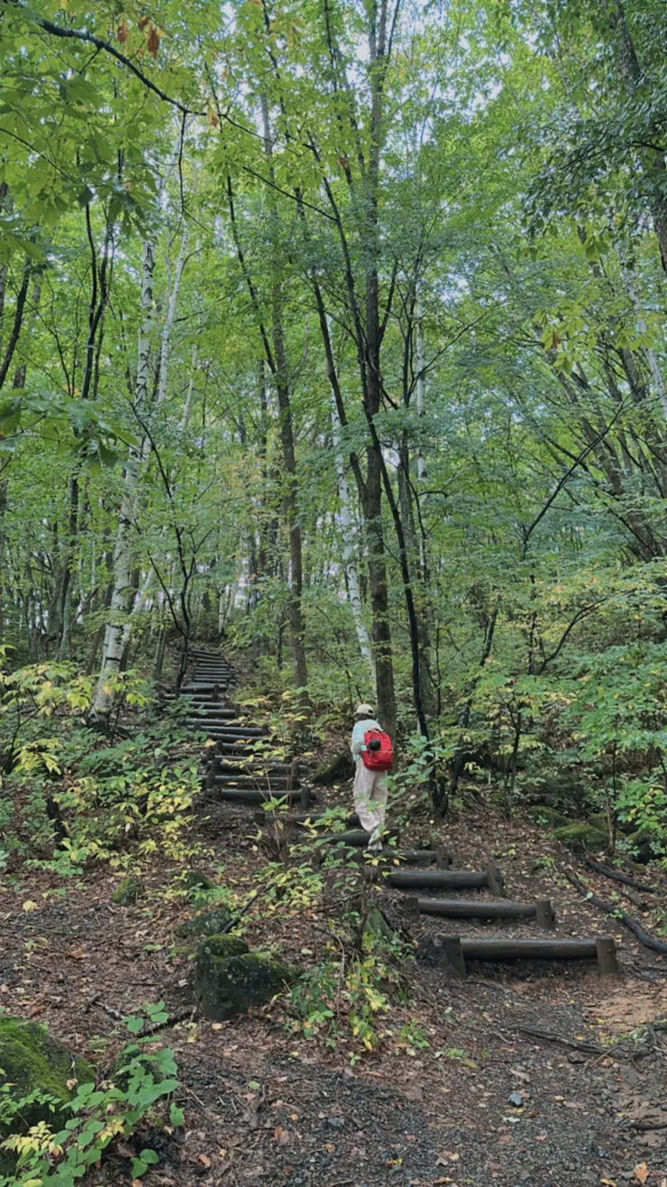 會有熊出現的感覺