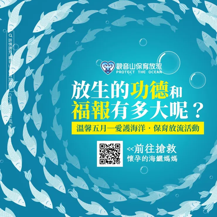 「放生」的功德和福報有多大呢?