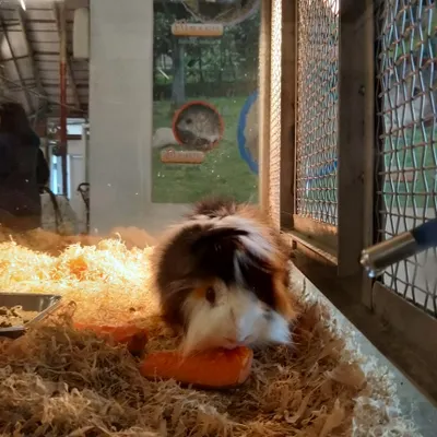 虛擬時空的沙龍