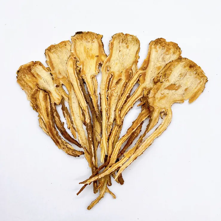 這是切片的全當歸