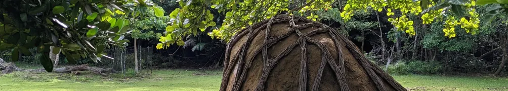 妃凌+苟維斯的沙龍