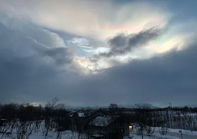 路上的天光日 Tomorrow