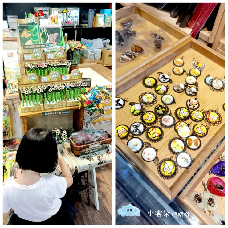 紀念品區和手作區都有漂亮的昆蟲商品