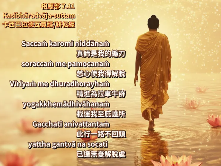 佛陀法語 | 關於修行