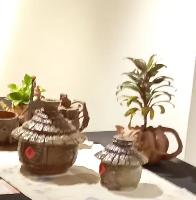 （ 圖：自拍攝  ）