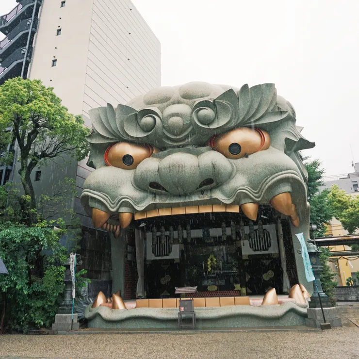 #仔細一看,竟然有鴿子躲在獅子的眼下和鼻上躲雨🌧️