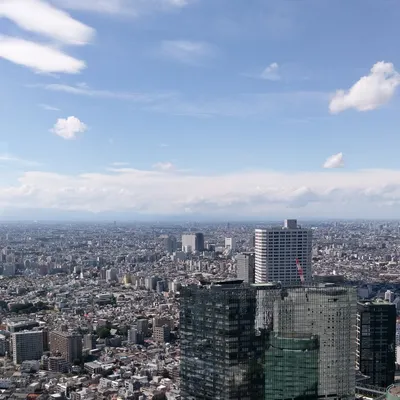 Paladinight的沙龍