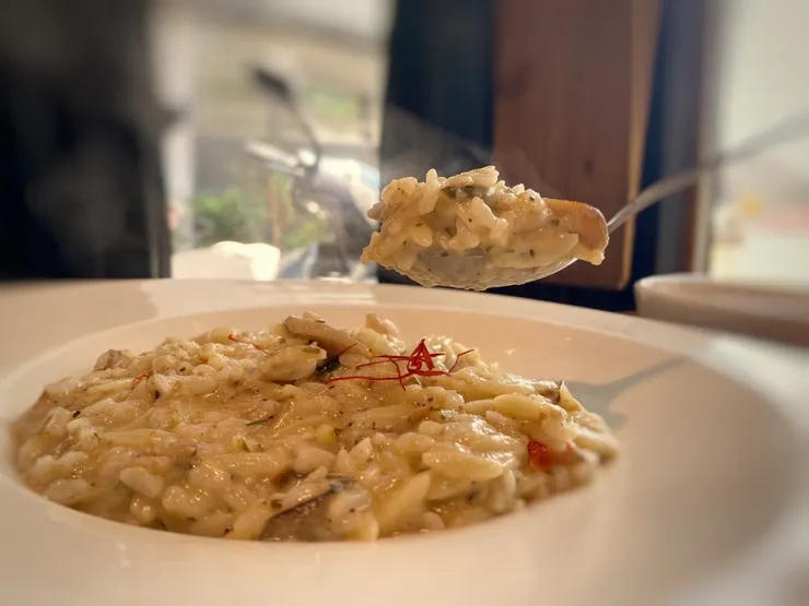 淘米人文蔬食：黑松露菌菇奶香燉飯