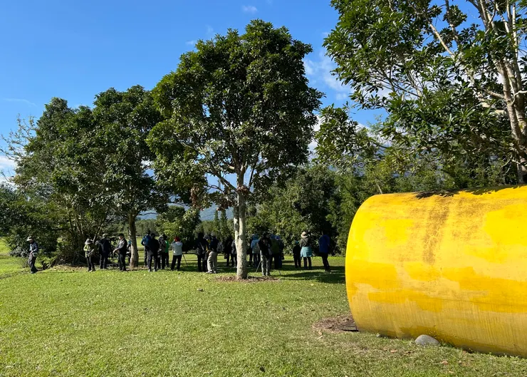 圖06 光復鄉大農大富平地森林園區是賞鳥熱點，搭配暖陽一邊散步一邊賞鳥，非常愜意