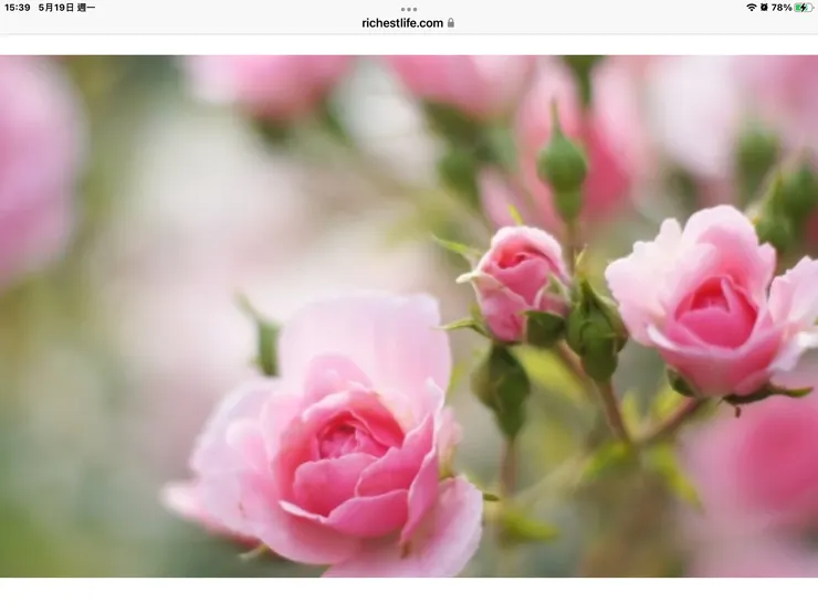 圖一：自覺是改善的開始https://www.richestlife.com/自覺才是清醒的開始-是改變的開端/