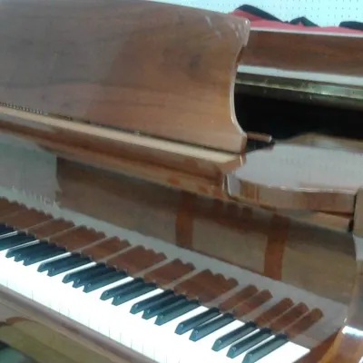 荻夢依情欲沙龍