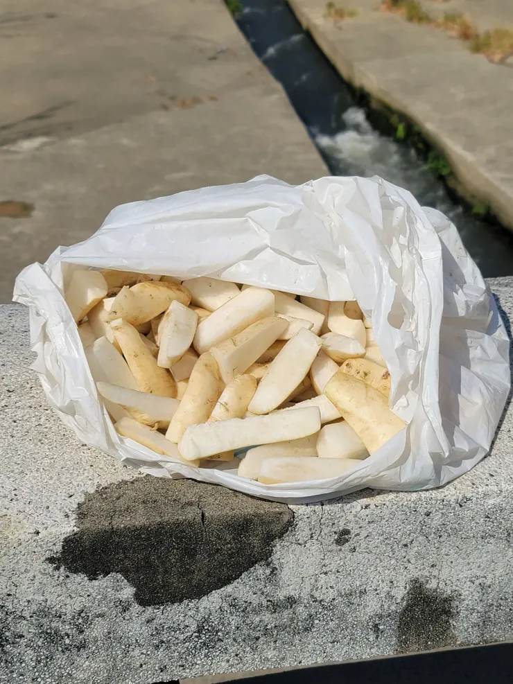 也許會變成菜脯界霸主的白蘿蔔塊。