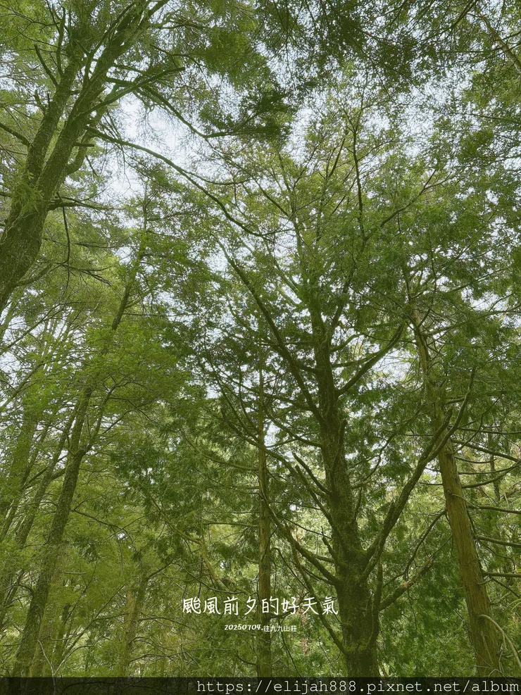 【大霸群峰4百岳。兩天一夜】觀霧大鹿林道東線騎越野單車/馬達