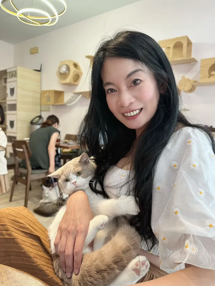 最愛這隻英倫短毛貓，好無辜、幼齒的一張臉😂