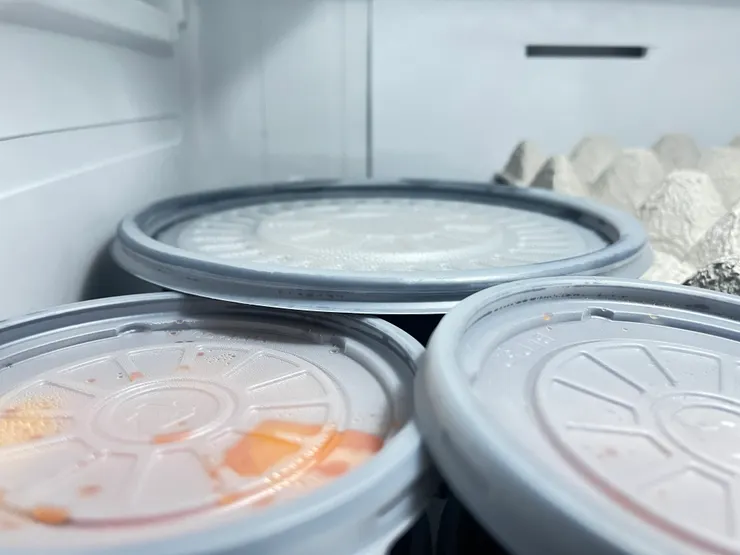 蔘雞湯與配菜合影