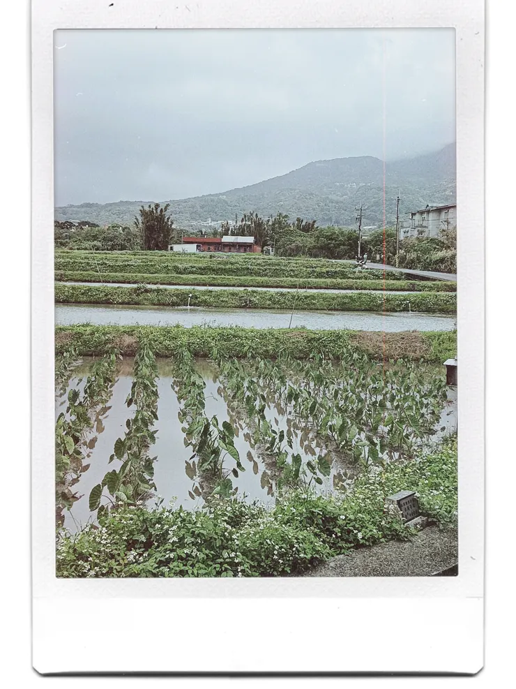 梵靈乾坤工作室提供