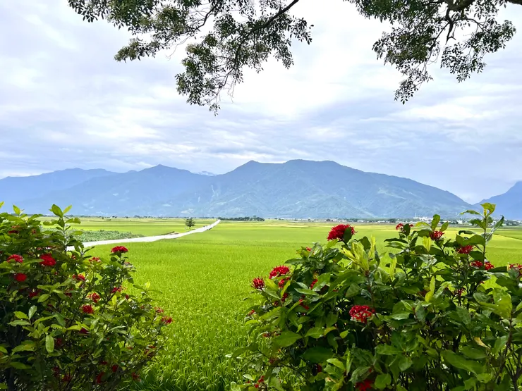 不同的季節,不同的天氣,山脈與稻田景色總是千變萬化