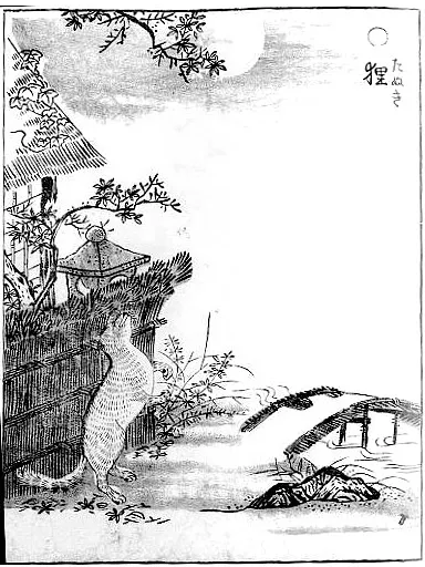 出自 鳥山石燕 所繪的《畫圖百鬼夜行》，圖片轉至 化狸 維基百科