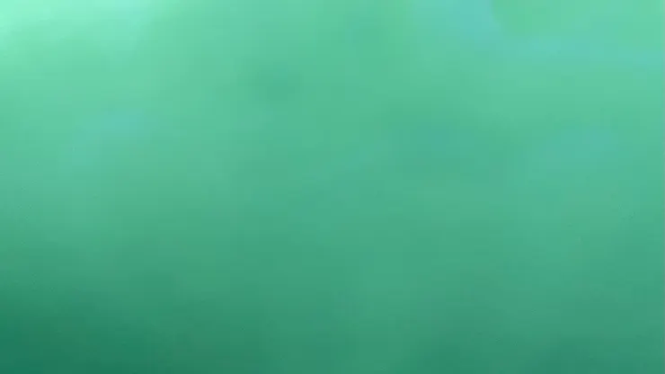 完全看不到生物的痕跡。