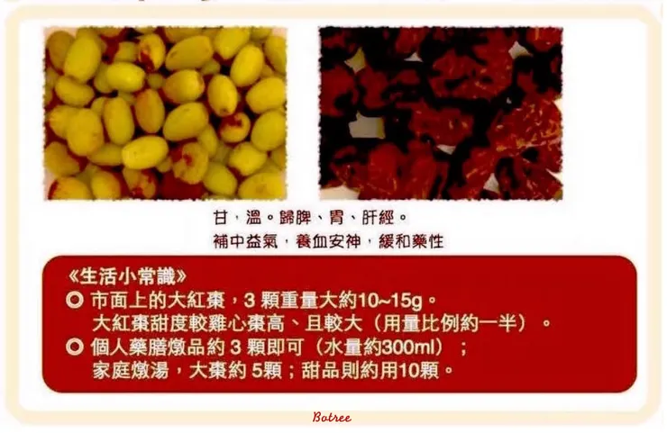 補血、安神、增加免疫力—紅棗（新鮮＆乾燥）