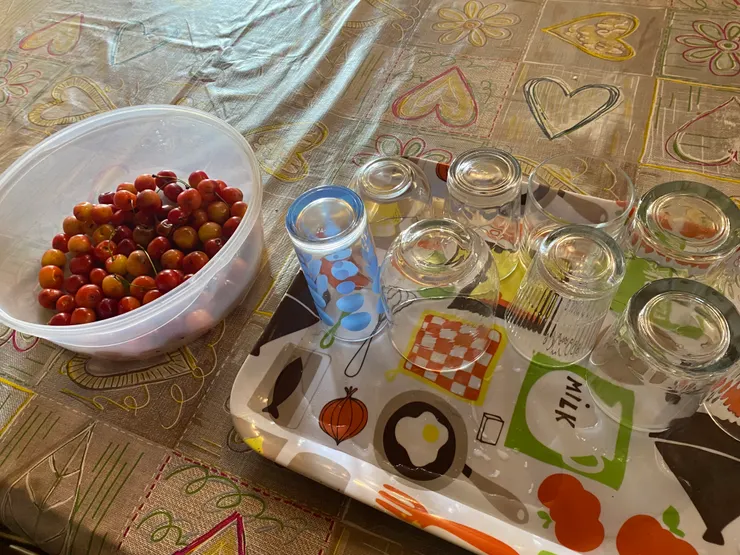 迎賓水果,好好吃的櫻桃。