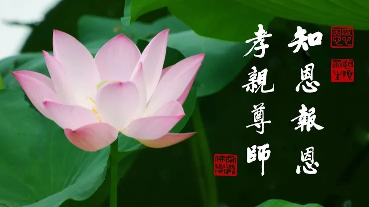 專心持念「阿彌陀佛」萬德洪名，期生淨土