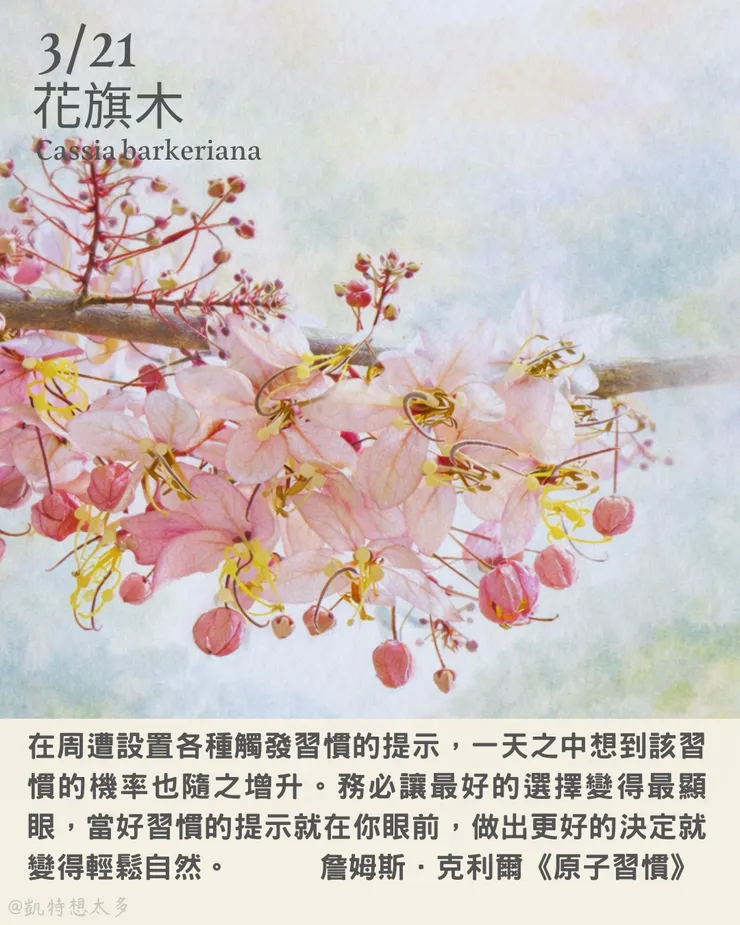 花旗木×詹姆斯．克利爾《原子習慣》