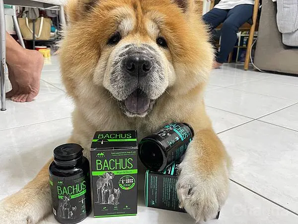 2023 新品上市「王品寵物」-BACHUS瑞士巴吉斯保健錠