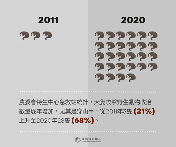 穿山甲犬隻攻擊事件