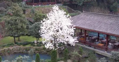 一個人夫的沙龍