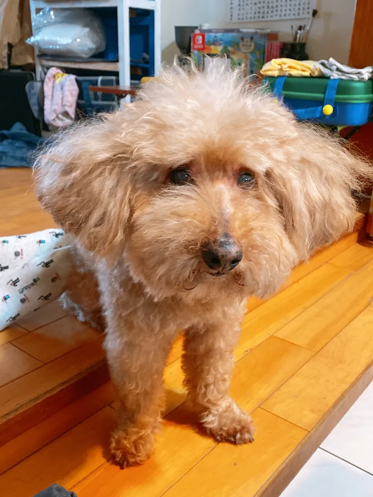 北漂第一天，土味帥哥