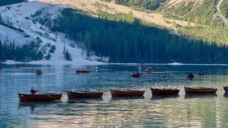 船家拉來更多木船