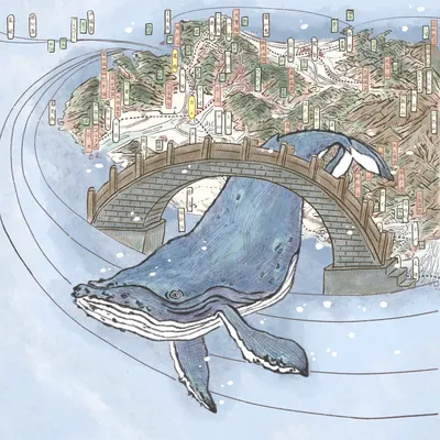 鯤橋的其他網站