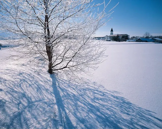 遼闊之美，希望冬天再來