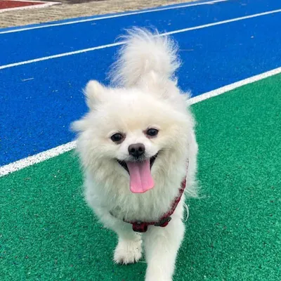 無可救藥的搬磚人的沙龍