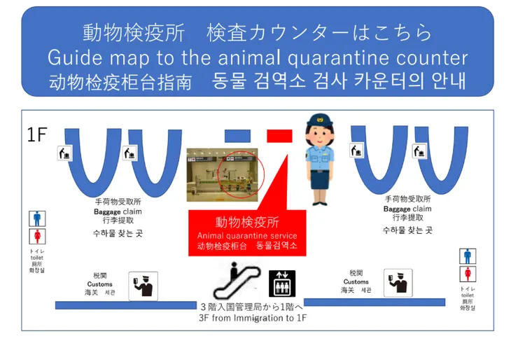 那霸機場動物檢疫地圖