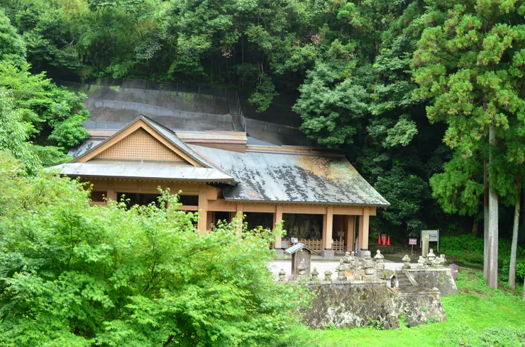 筆直大樹和石佛