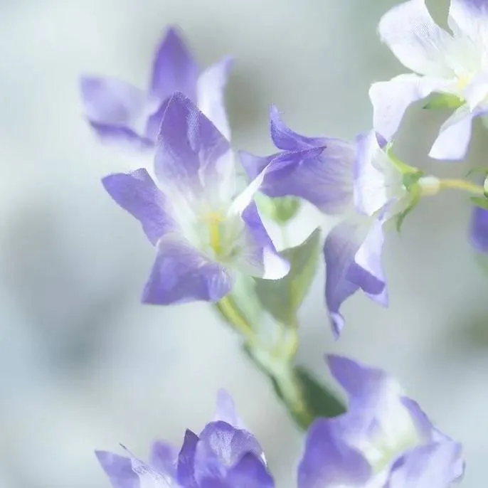 「永恆不變的愛」