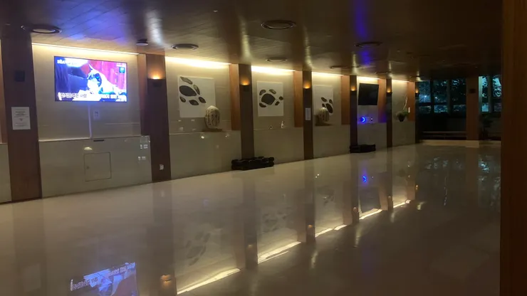 在這裡能輕鬆找到舒服的休息方式。