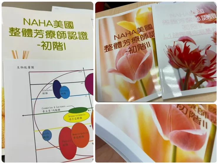 初階I、初階II的教材課本及厚度