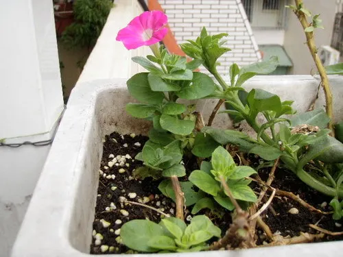 大自然總是用它的方式，教不同的人，不同的東西(圖片來源：https://goo.gl/yJQiyV)