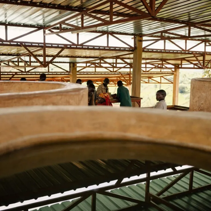 這支豆子經過嚴謹的水洗處理，將咖啡豆的風味發揮到淋漓盡致。