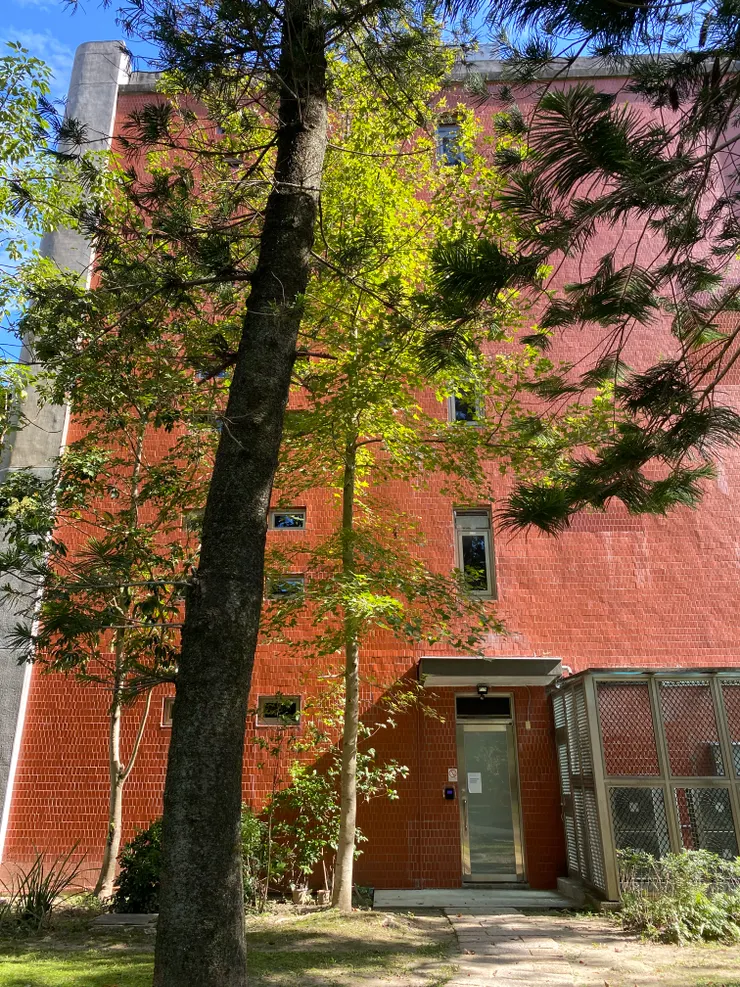 南棟的西側立面