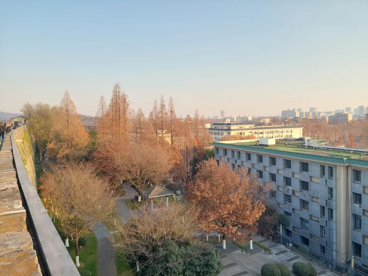 南京城牆台城段上的樹景